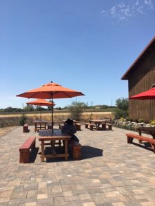 Pronzini_Ranch_Event-05